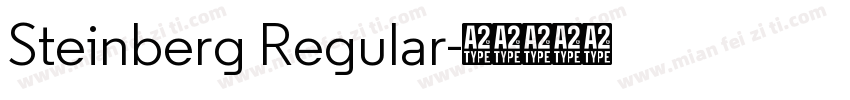 Steinberg Regular字体转换